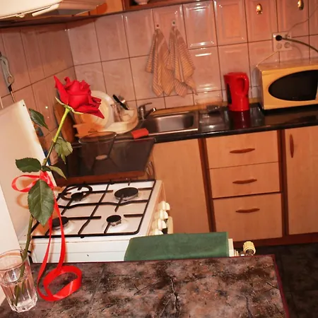 Apartment Decebal Premium *