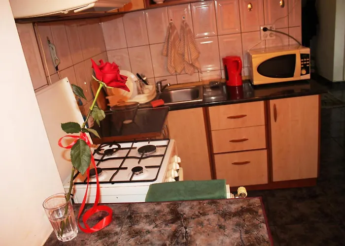 Apartment Decebal Premium *